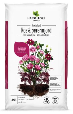 Zoom bild av Ros perennjord hasselforsgarden