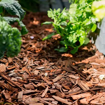 Nötbrun Flis Hasselforsgarden