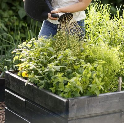 Zoom bild av Hönsgödsel Hasseforsgarden
